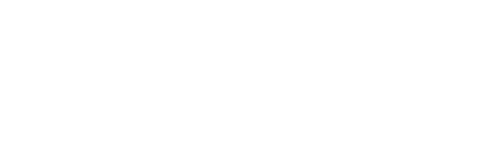 XPirate Logo